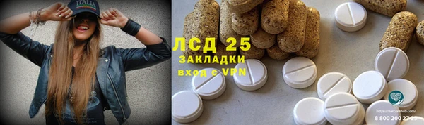 мяу мяу мука Кострома