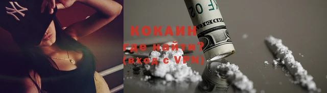 мяу мяу мука Кострома