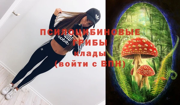 мяу мяу мука Кострома