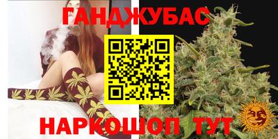 скорость Заводоуковск