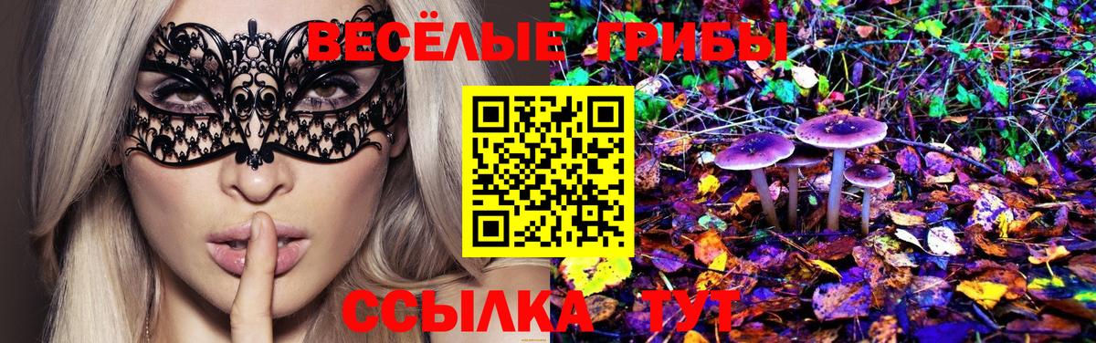 Галлюциногенные грибы Psilocybe  Вход с VPN  хочу наркоту  Балашов  Псилоцибиновые грибы MAGIC MUSHROOMS 